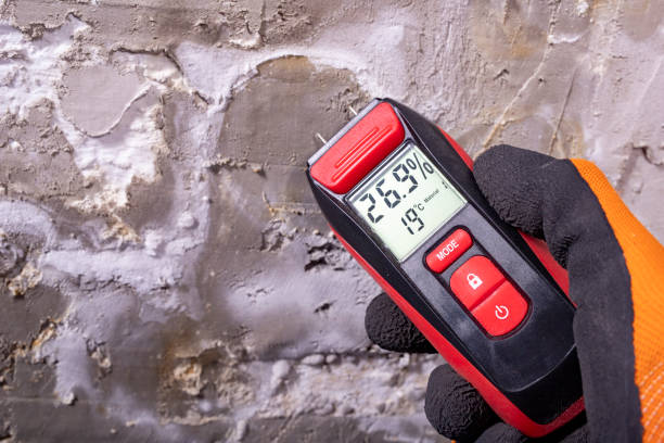 Best Best Mold Removal Companies  in Ojai, CA