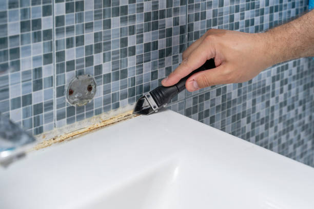 Best Commercial Mold Removal  in Ojai, CA